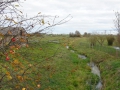 Jagstquelle_10